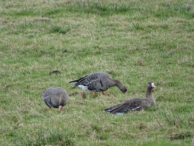 西安市跆拳道协会开展教练员培训活动